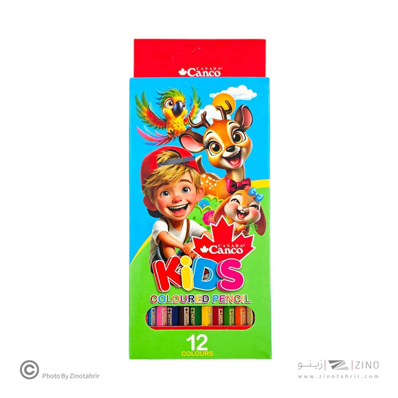 مدادرنگی12رنگ جعبه مقوایی کیدز ته صدفی کنکو