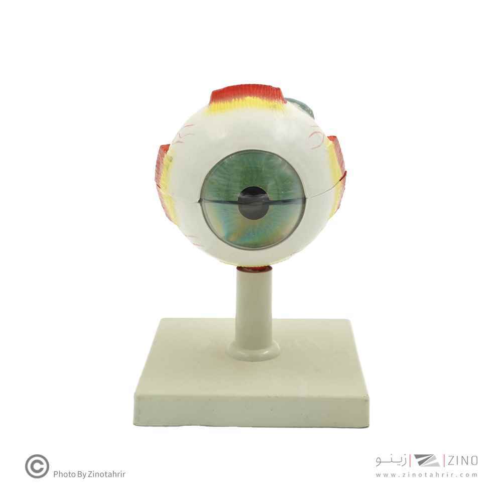 مولاژ چشم10برابر