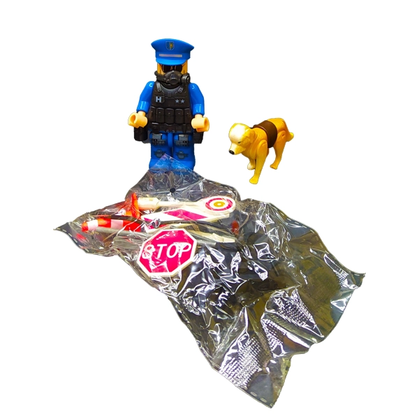 لگو شخصیت پلیس خارجی