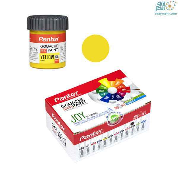 گواش نانو زرد 170  پنتر 6 عدد